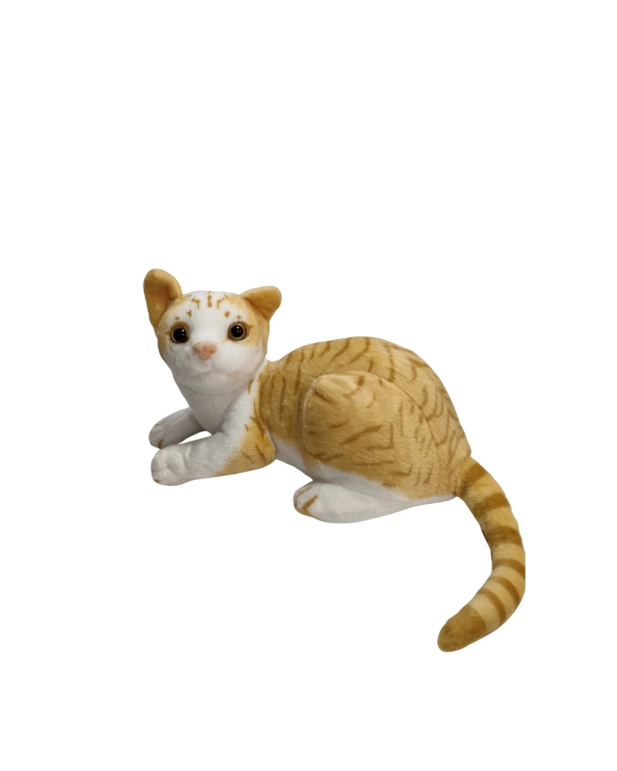 MÜZİKLİ GERÇEK GÖZLÜ KEDİ