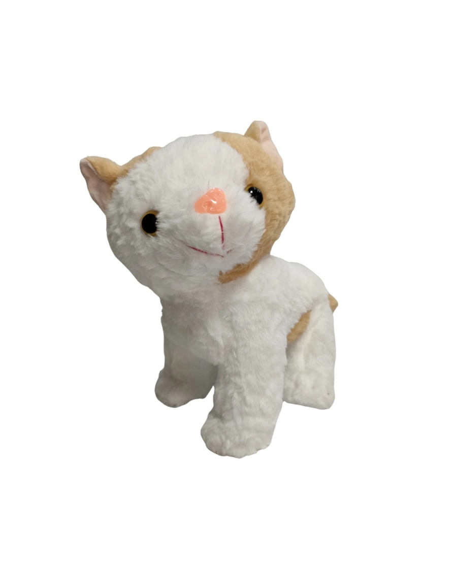 MÜZİKLİ OTURAN KEDİ