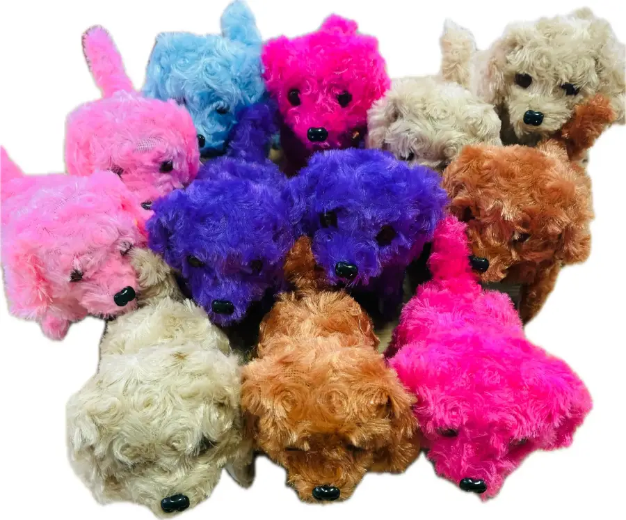 PİLLİ 12Lİ KÖPEK