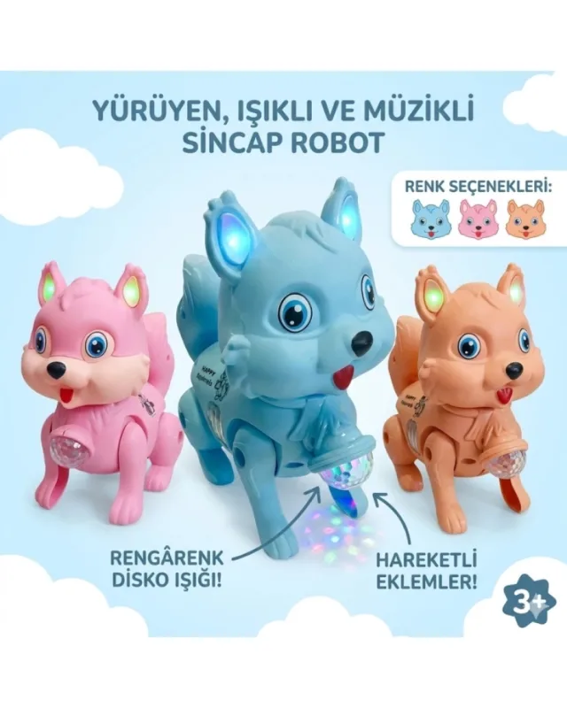 POŞETTE PİLLİ SİNCAP