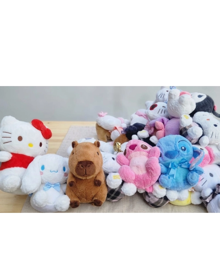 EMİR KARIŞIK PELUŞ