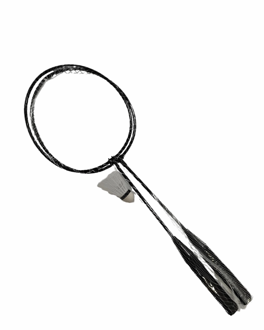 BADMINTON RAKET VE TOP