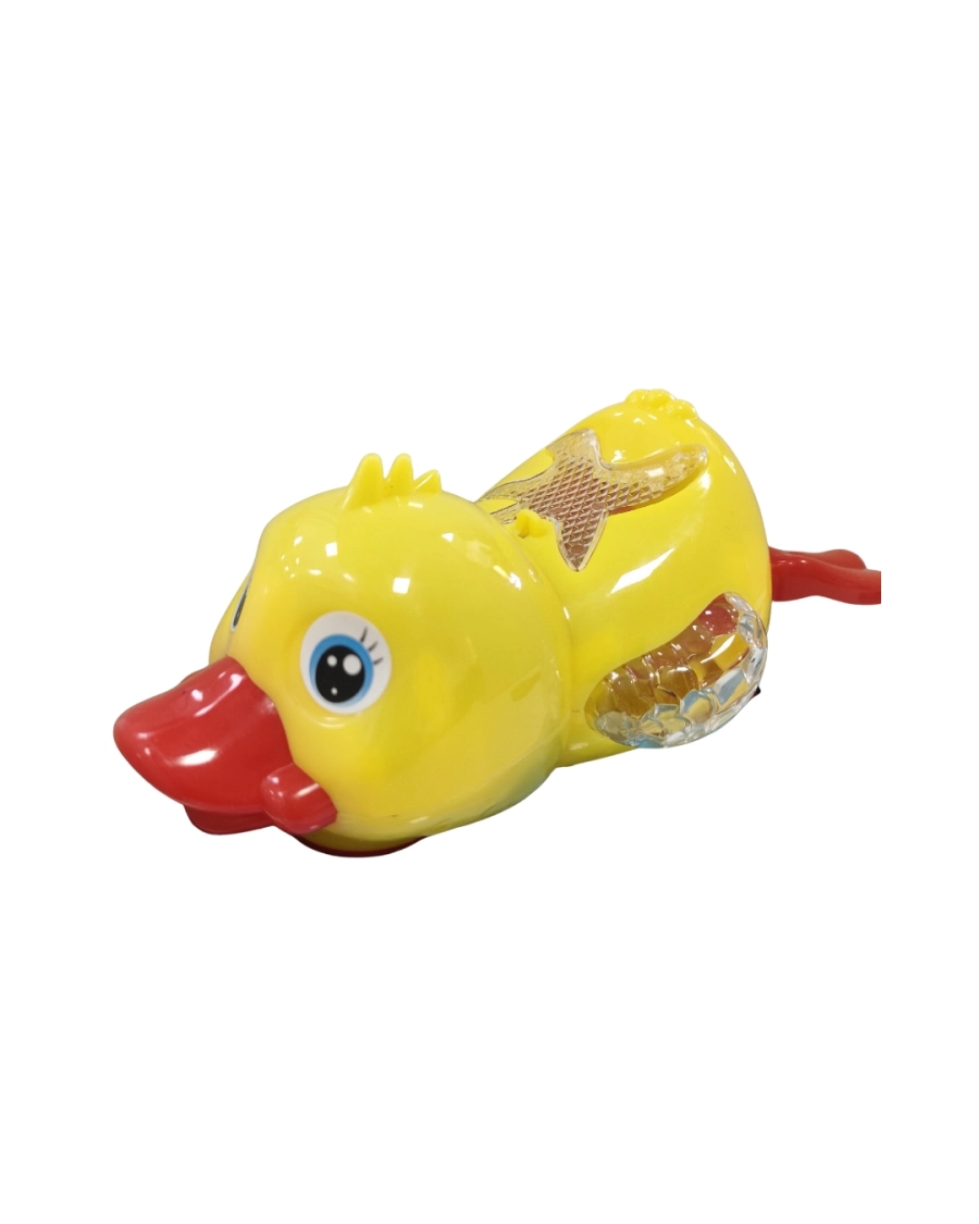 KUTULU SÜRÜNEN ÖRDEK