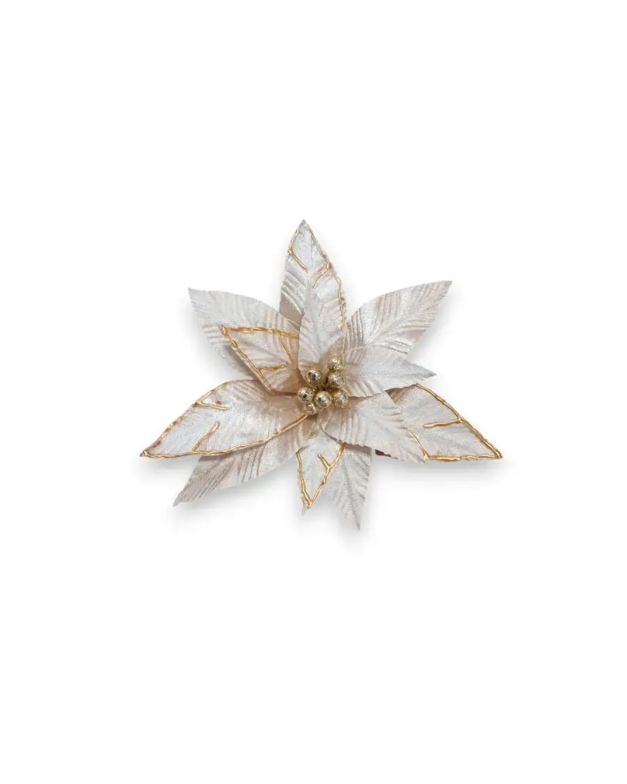 45 CM ŞAMPANYA ATA ÇİÇEĞİ