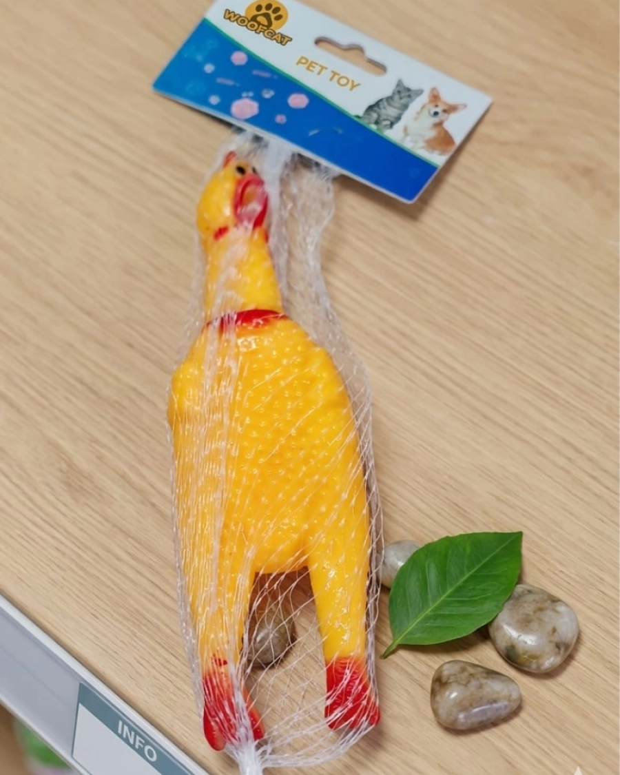 KÜÇÜK SESLİ  HOROZ